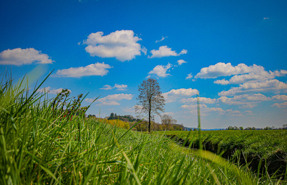 Landschaft