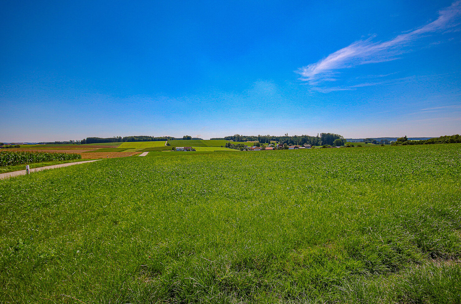 Blick auf Piesenkofen