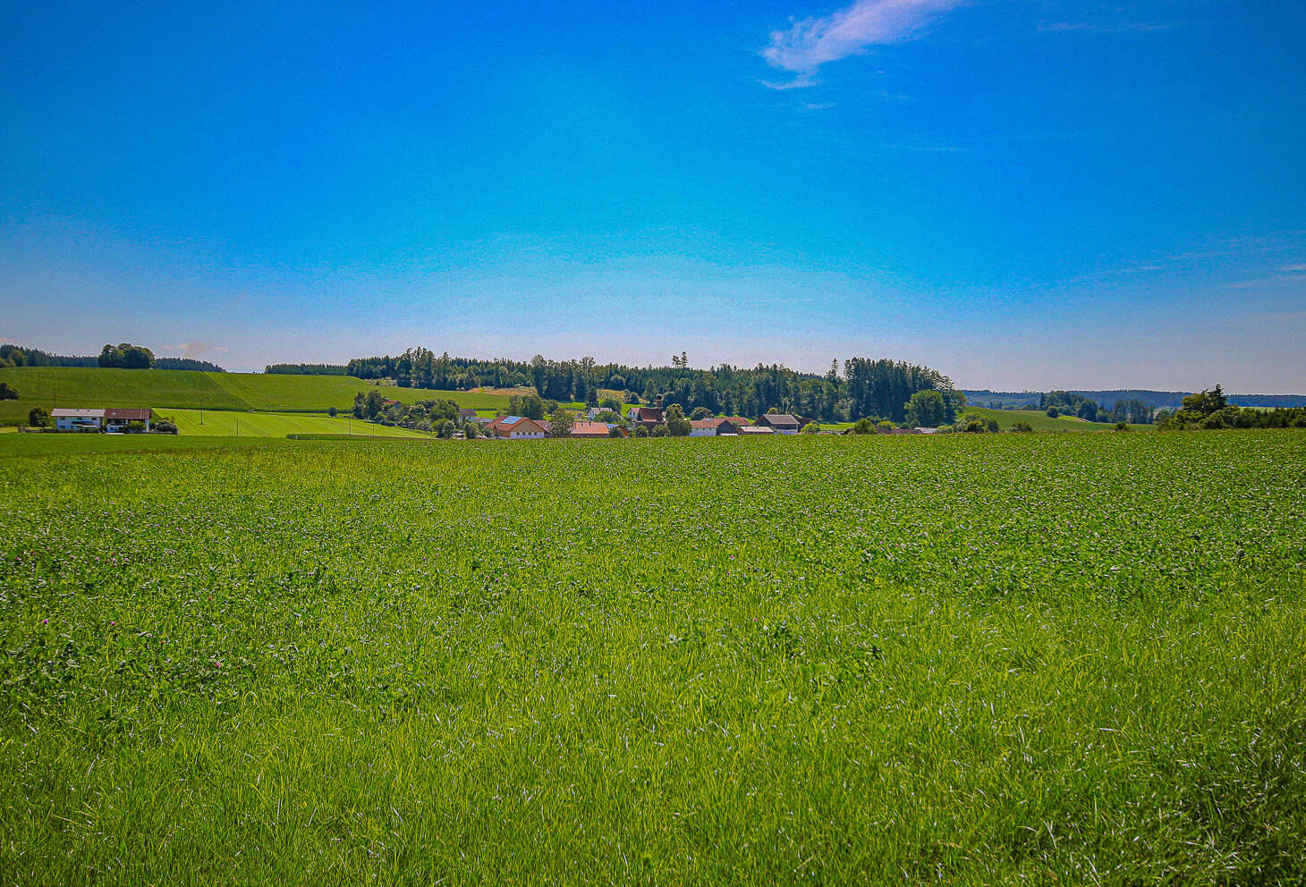 Blick auf Piesenkofen2